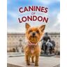 Bridget Davey Canines of London