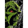 Len Wein;Bernie Wrightson Absolute Swamp Thing by Len Wein and Bernie Wrightson