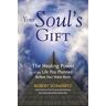 Robert Schwartz Your Soul's Gift