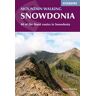 Mountain Walking in Snowdonia