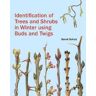 Bernd Schulz Identification of Trees and Shrubs in Winter Using Buds and Twigs