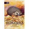 Pat Morris Hedgehogs