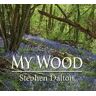 Stephen Dalton My Wood