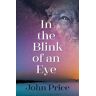 John Price In the Blink of an Eye