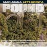 Marijuana: Let's Grow a Pound