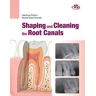 Shaping and Cleaning the Root Canals