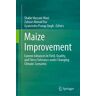 Maize Improvement