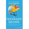 Das Teenager-Gehirn