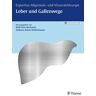 Expertise Leber und Gallenwege