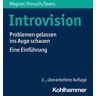 Introvision