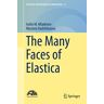 The Many Faces of Elastica