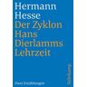 Der Zyklon und Hans Dierlamms Lehrzeit