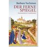 Der ferne Spiegel