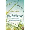 Die Wiese