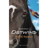 Ostwind - Wie es begann