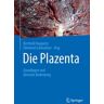 Die Plazenta