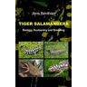 Tiger Salamanders