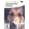 Günther Blochs Tuscany Dog Project