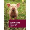 Schweine halten