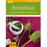 Borreliose