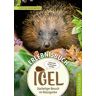 Erlebnisbuch Igel