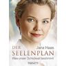 Der Seelenplan