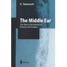 The Middle Ear