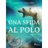 Una sfida al Polo