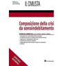 Composizione della crisi da sovraindebitamento