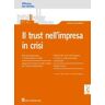 Il trust nell'impresa in crisi