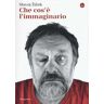 Slavoj Zizek Che cos'è l'immaginario