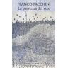 Franco Facchini La parvenza del vero