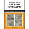 Paola Perpignani;Cesare Fiori Il mosaico non spazzato