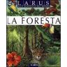 La foresta