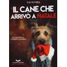 Sue Pethick Il cane che arrivò a Natale