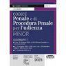 Codice penale e di procedura penale per l'udienza. Ediz. minor