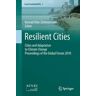 Resilient Cities