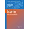 Myelin