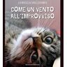 Come un vento all’improvviso