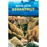 Renzo Selmi Ashanymut