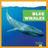 Eliza Leahy Blue Whales