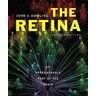 The Retina