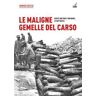 Giorgio Seccia Le maligne gemelle del Carso. Quote 208 Sud e 208 Nord, le battaglie