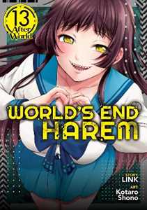 Link World's End Harem Vol. 13 - After World