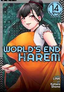 Link World's End Harem Vol. 14 - After World