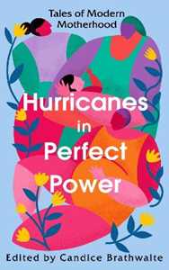 Various Hurricanes in Perfect Power: Tales of Modern Motherhood