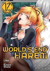 Link World's End Harem Vol. 17 - After World