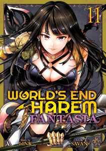 Link World's End Harem: Fantasia Vol. 11