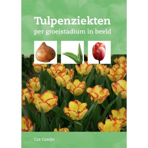 Roodbont Publishers B.V. Tulpenziekten - Cor Conijn