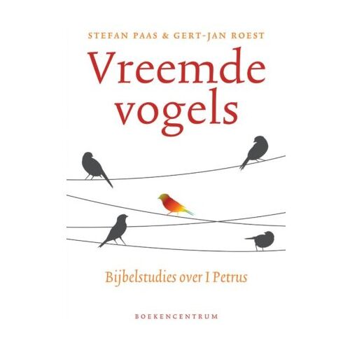 Vbk Media Vreemde Vogels - Stefan Paas